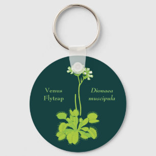 Chaveiro Venus Flytrap Floral Art
