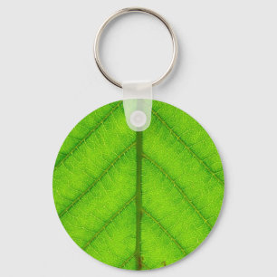 Chaveiro verde da folha