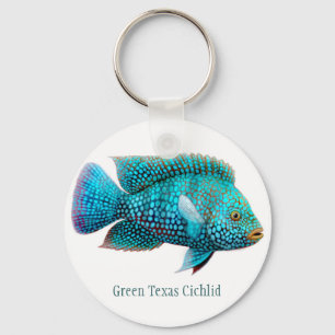 Chaveiro verde dos peixes de cichlidae de Texas
