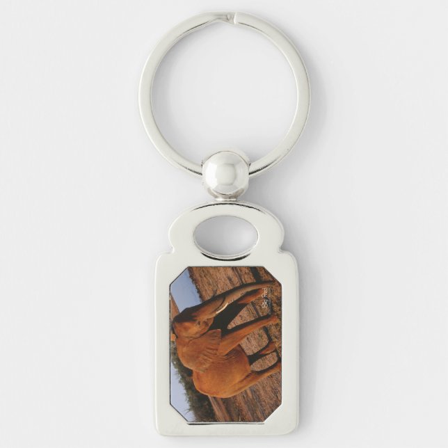 Chaveiro Vermelho Grande (Frente)