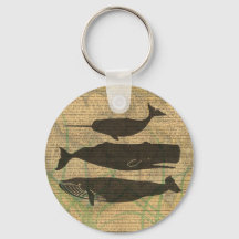 Vida marítima náutica antiaérea de baleia