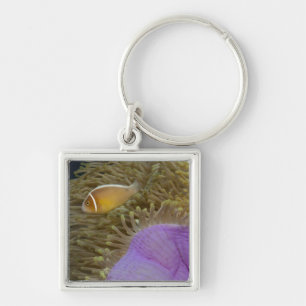 Chaveiro Vida subaquática; PEIXES: Clownfish (rosa