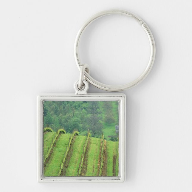Chaveiro Vinhas de uva perto de Newberg Oregon (Frente)