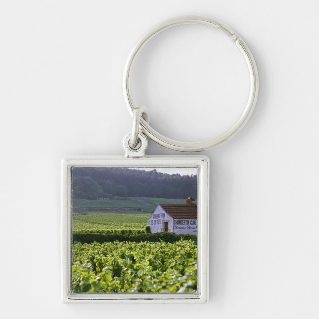 Chaveiro vinhedo Chambertin Clos de Beze Grand Cru com (Frente)
