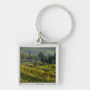 Chaveiro Vinícola, Toscana, Itália