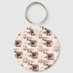 Chaveiro Vintage Calico Cat/Black and White Photoics