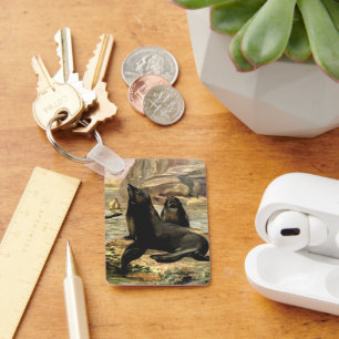 Chaveiro Vintage California Sea Lions por CE Swan