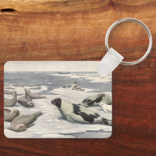 Chaveiro Vintage Harp Seals in Artic Snow (Focos de Harp no