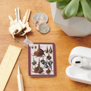 Chaveiro Vintage Seasheles, Vida Marinha, Conchas Marítimas