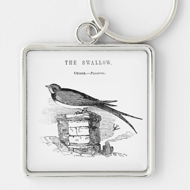 Chaveiro Vintage swallow bird (Frente)