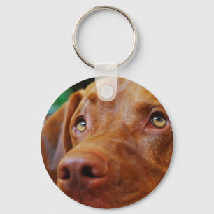 Chaveiro VIZSLA - corrente chave
