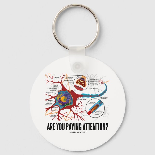 Chaveiro Você Está Prestando Atenção? Neuron Synapse Humor (Frente)