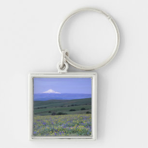 Chaveiro WA, Condado de Klickitat, Dalles Mountain Ranch,