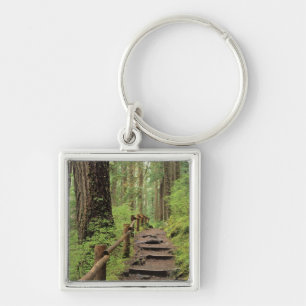 Chaveiro WA, Parque Nacional Olímpico, Vale de Sol Duc, flo