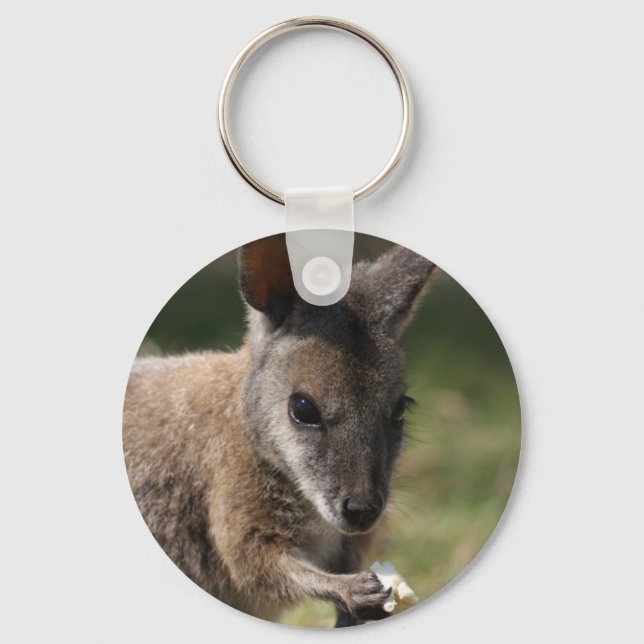 Chaveiro Wallaby (Frente)