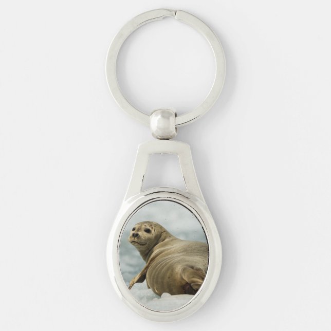 Chaveiro Wary Seal (Frente)