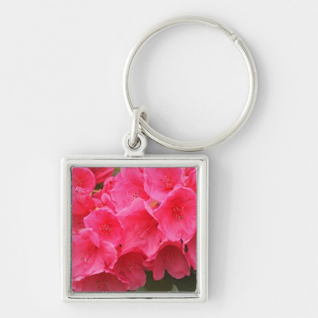 Chaveiro Washington, Seattle, Puget Sound, Discovery Park (Frente)