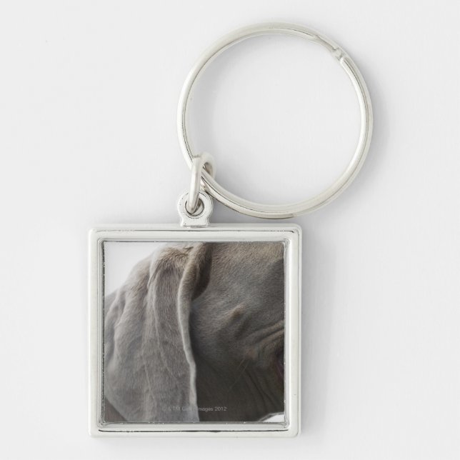 Chaveiro Weimaraner 3 (Frente)