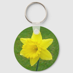 Chaveiro Welsh Daffodil