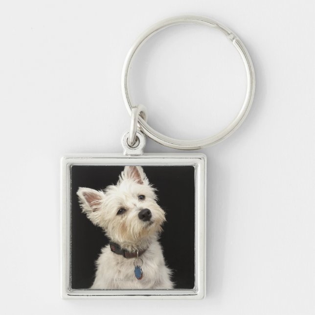Chaveiro Westie (terrier ocidental das montanhas) com colar (Frente)