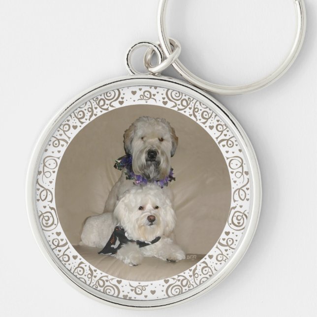 Chaveiro Wheaten Terrier e Havanese (Frente)