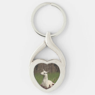 Chaveiro White Llama