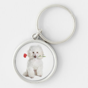 Chaveiro White Poodle com Chave de Núcleo - Cadeia Premium