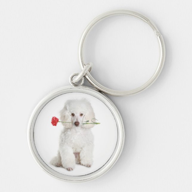 Chaveiro White Poodle com Chave de Núcleo - Cadeia Premium (Frente)