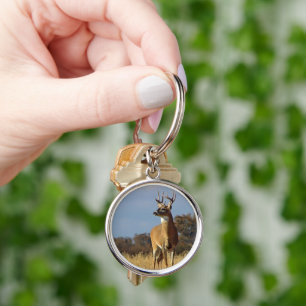 Chaveiro Whitetail Buck Key Chain