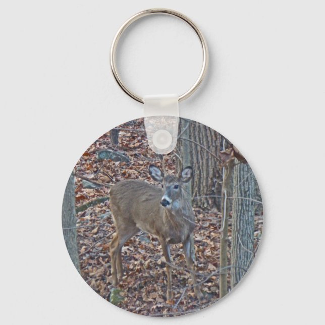 Chaveiro Whitetail Deer Spike Buck (Frente)