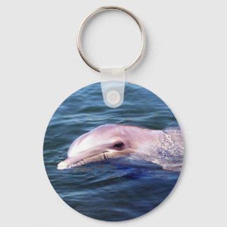 Chaveiro Wild Dophin