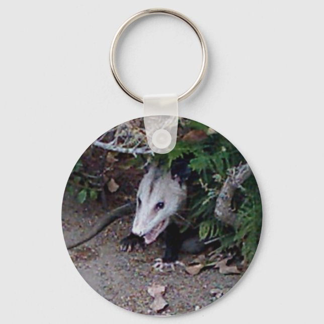 Chaveiro Wild Possum (Frente)