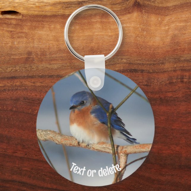 Chaveiro Winter Bluebird Animal Personalizado (Frente)