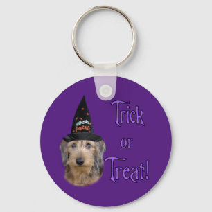 Chaveiro Wirehair Dachshund Trick
