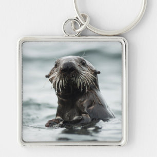 Chaveiro Wise Otter