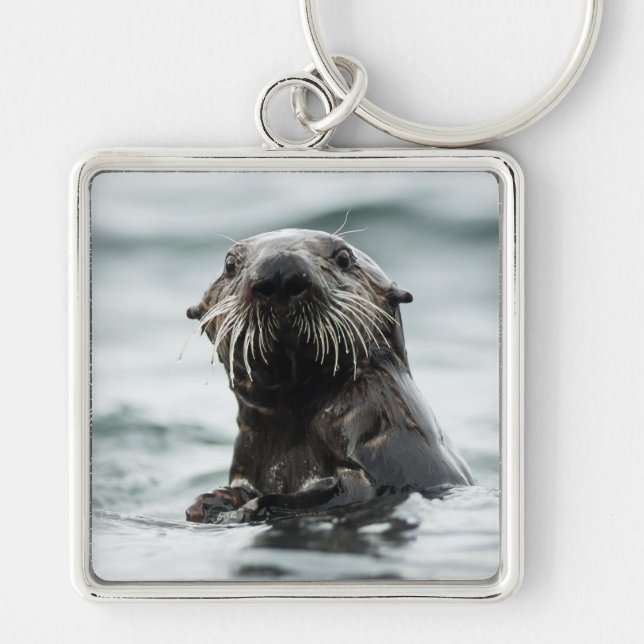 Chaveiro Wise Otter (Frente)