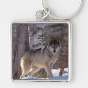 Chaveiro-Wolf Chaveiro