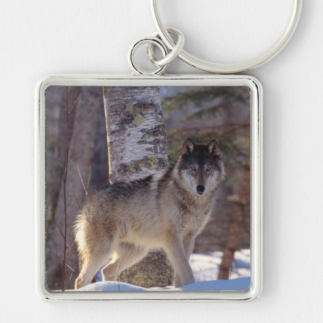 Chaveiro-Wolf Chaveiro (Frente)