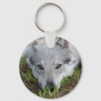 Chaveiro Wolfdog checoslovaco