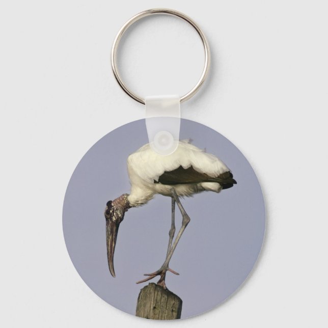 Chaveiro Wood Stork (Frente)