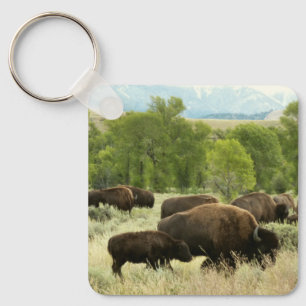 Chaveiro Wyoming Bison Nature