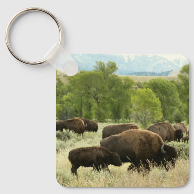 Chaveiro Wyoming Bison Nature (Frente)