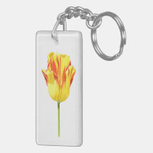 Yellow and red tulip