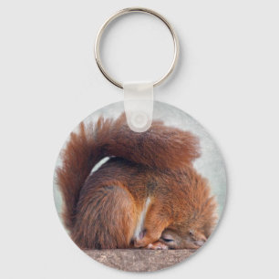 Chaveiro Yoga Squirrel Keyring