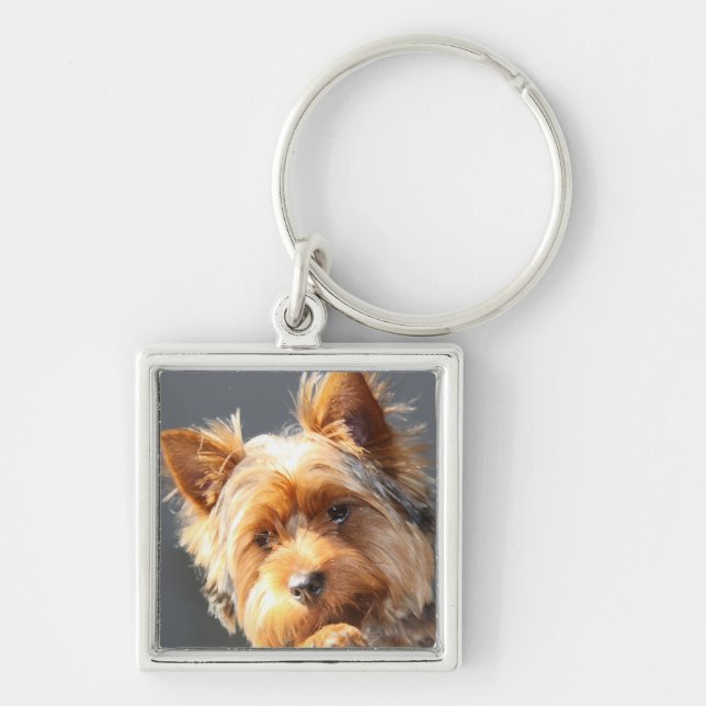 Chaveiro yorkie (Frente)