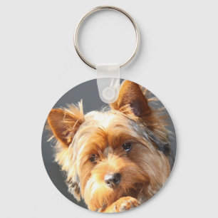 Chaveiro yorkie