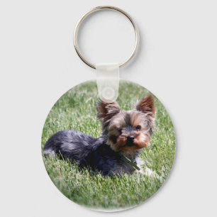 Chaveiro Yorkie Adorável