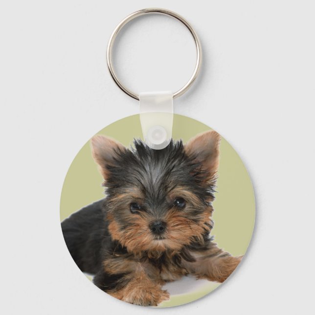 Chaveiro Yorkie Pup (Frente)