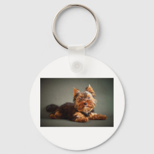 Chaveiro Yorkshire terrier