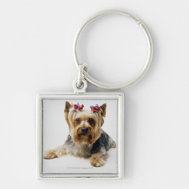 Chaveiro Yorkshire terrier que veste arcos vermelhos (Frente)
